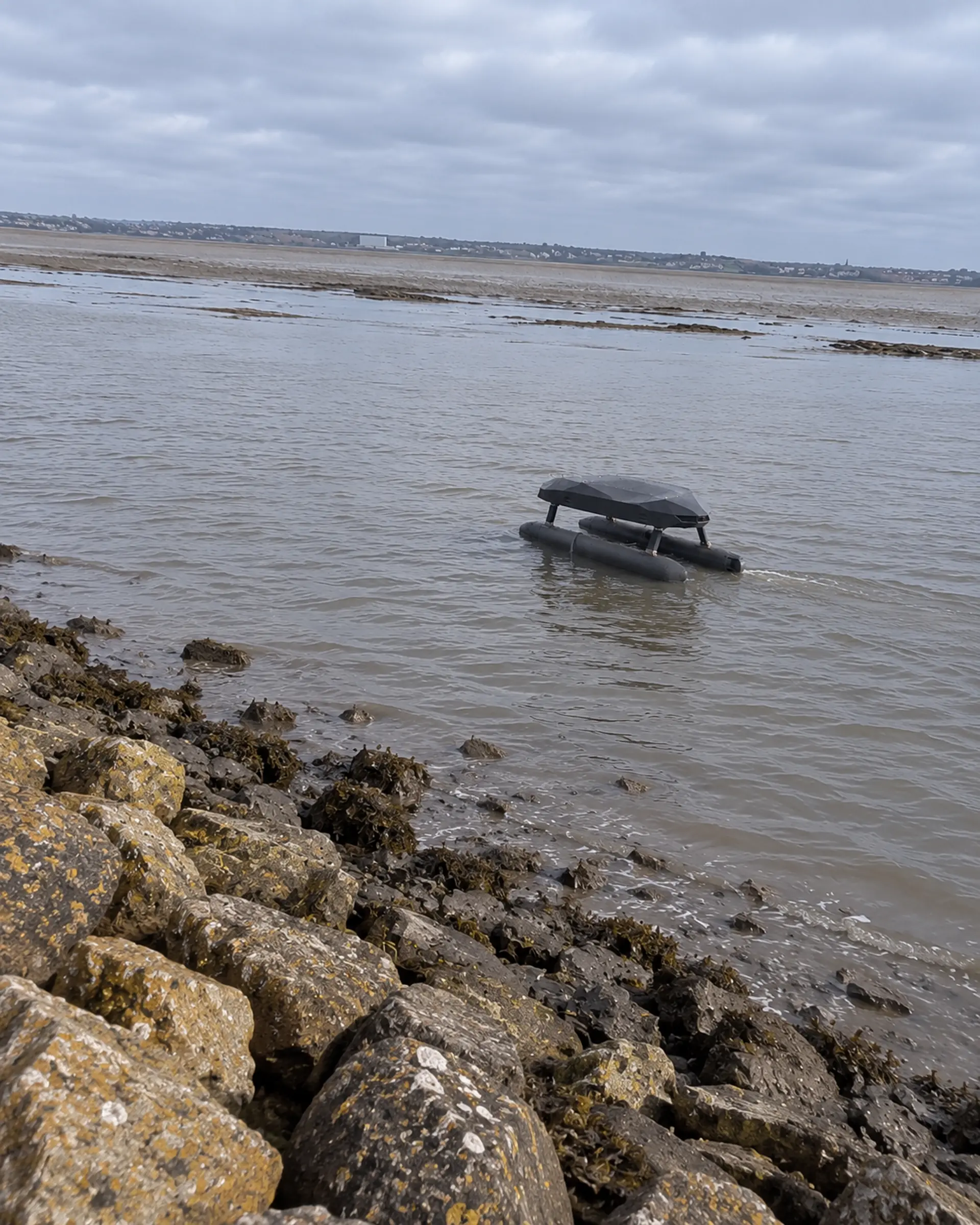 Triton on calm estuary water